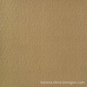 Foor Tiles Polished (Q6303SR)